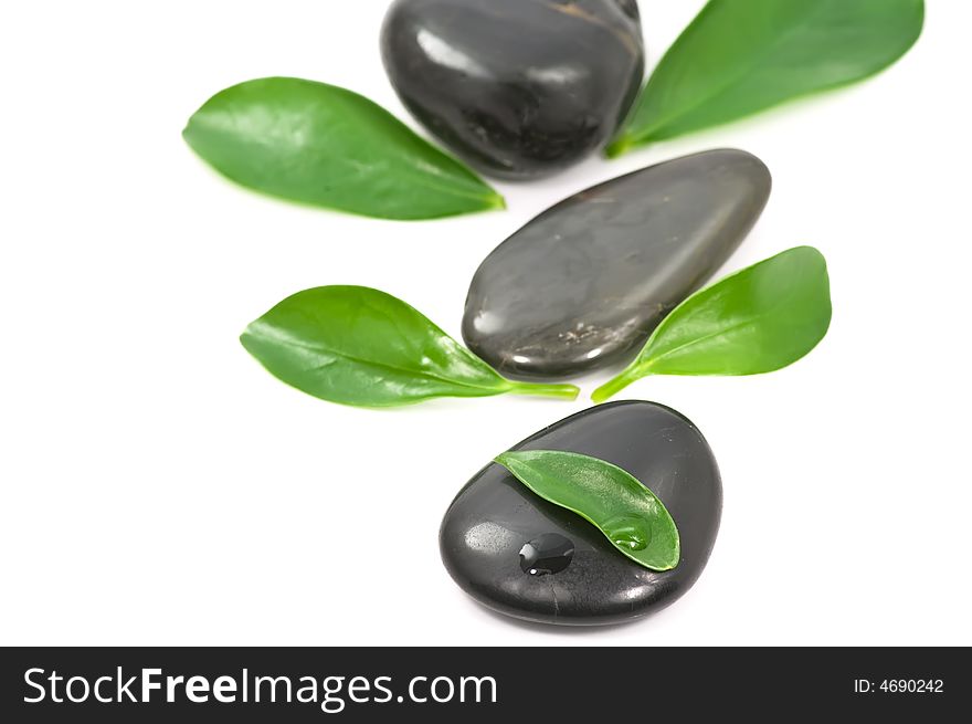 Therapy stones and fresh green leaves on white background