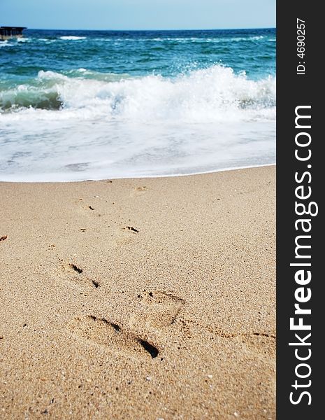 Legsprints At The Sea Beach