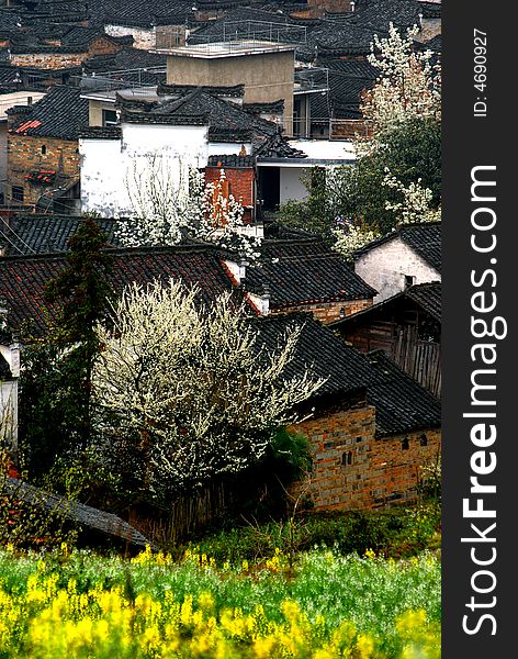Beautiful village in wuyuan, which is regarded as the most beautiful country in China