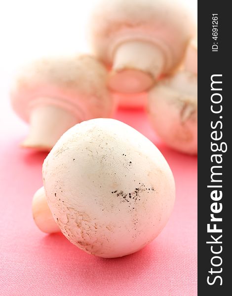 Beautiful button mushrooms on pink