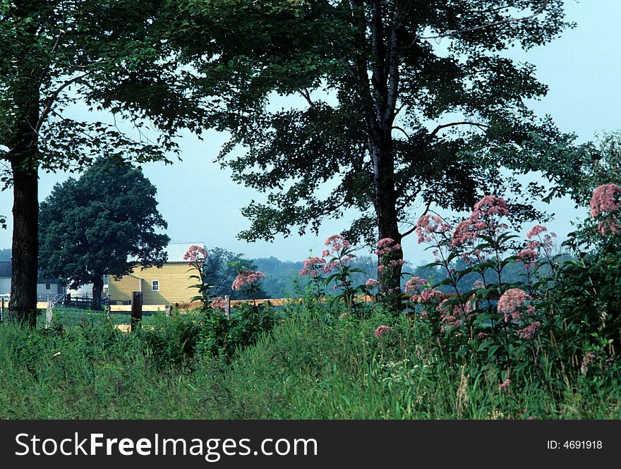 Emerging out of the woods to an old farm house. Emerging out of the woods to an old farm house