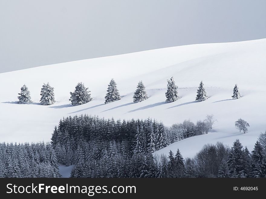 Winter day in Schwarzwald region, Germany. Winter day in Schwarzwald region, Germany