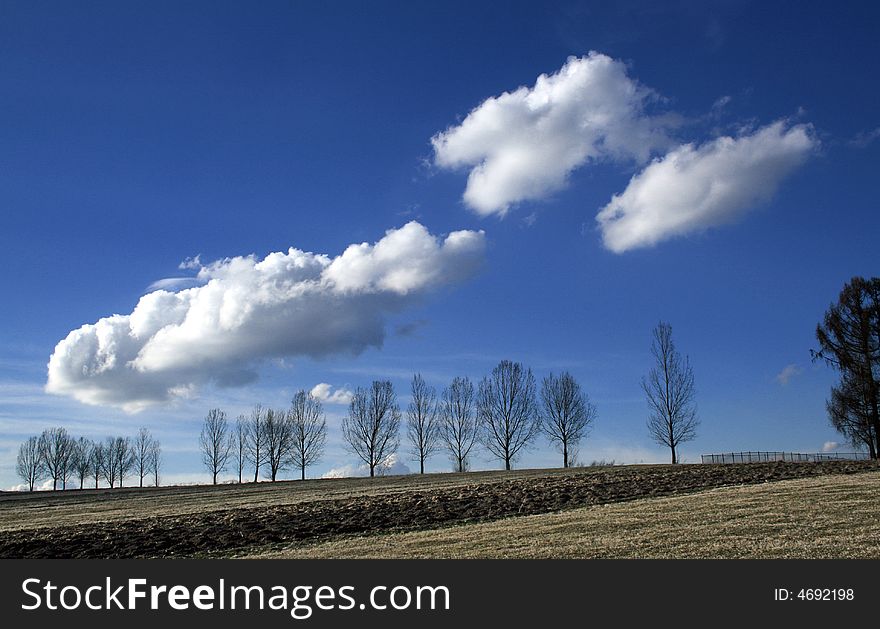Rural landscape_ field, meadow, clouds. Rural landscape_ field, meadow, clouds