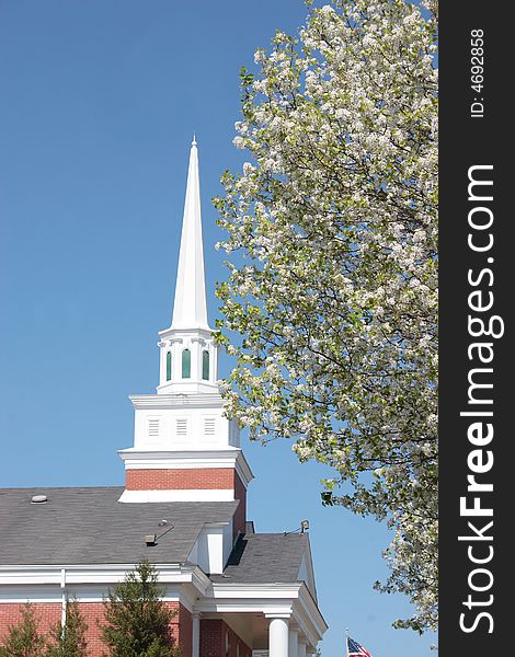 A blossoming fruit tree frames a rising church steeple. A blossoming fruit tree frames a rising church steeple