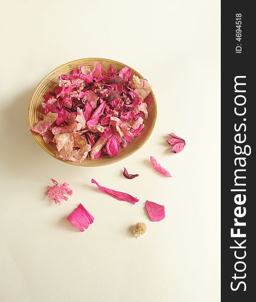 Beautiful pink dry flowers on a light background