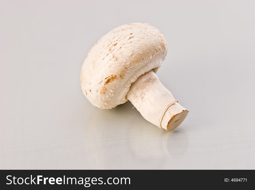 Food series: one champignon over white background. Food series: one champignon over white background