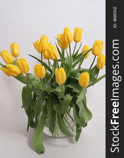 Bouquet yellow tulips in  vase