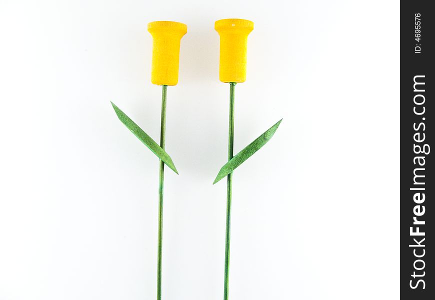 Yellow tulips isolated on white background