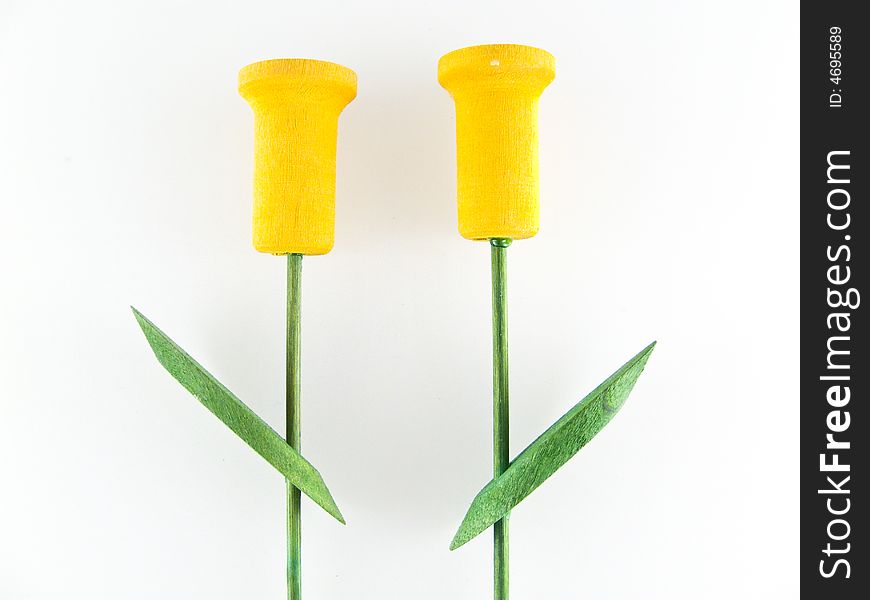 Yellow tulips isolated on white background