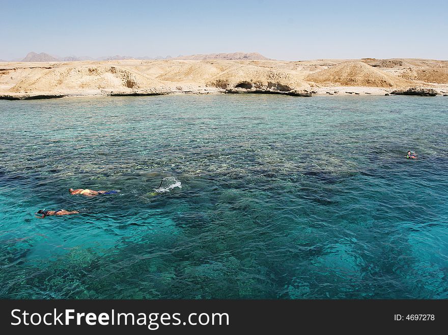 Diving on Red sea