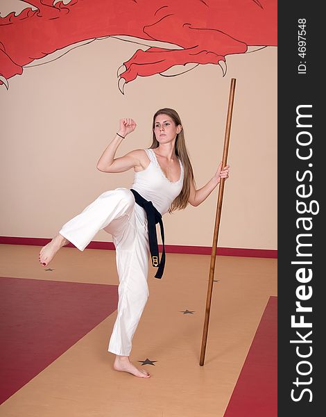 Martial Arts Woman Free Stock Images And Photos 4697548 