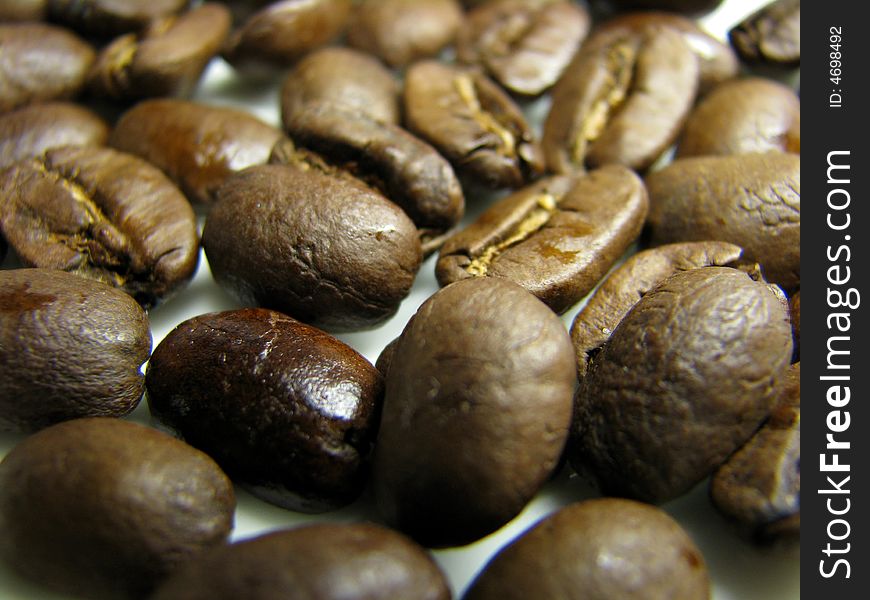 Coffee beans macro on white background. Coffee beans macro on white background