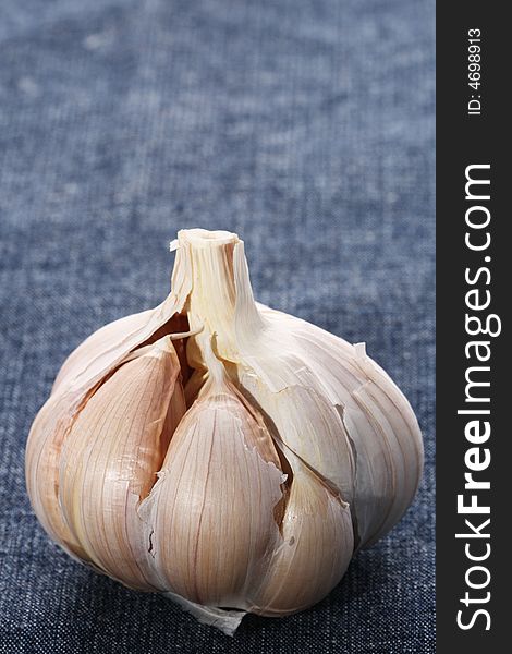 Single whole garlic bulb on blue fabric background