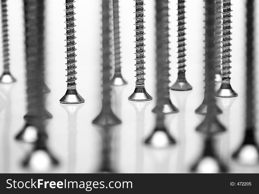 Bunch of screws standing on a white reflective background. Bunch of screws standing on a white reflective background.