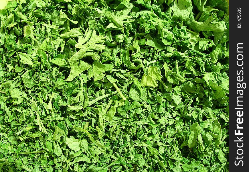 Parsley in herb