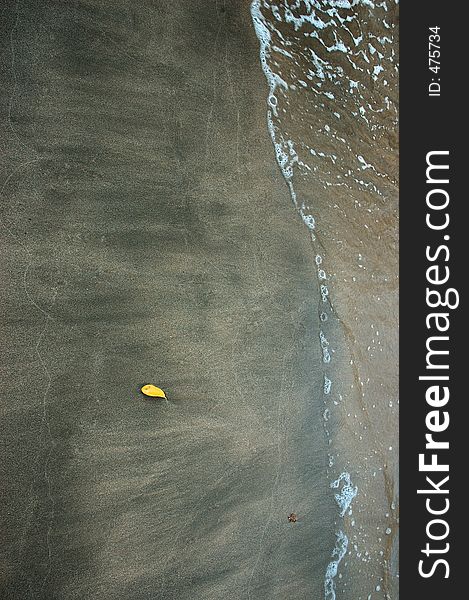 Single yellow leaf about to be washed away with the tide