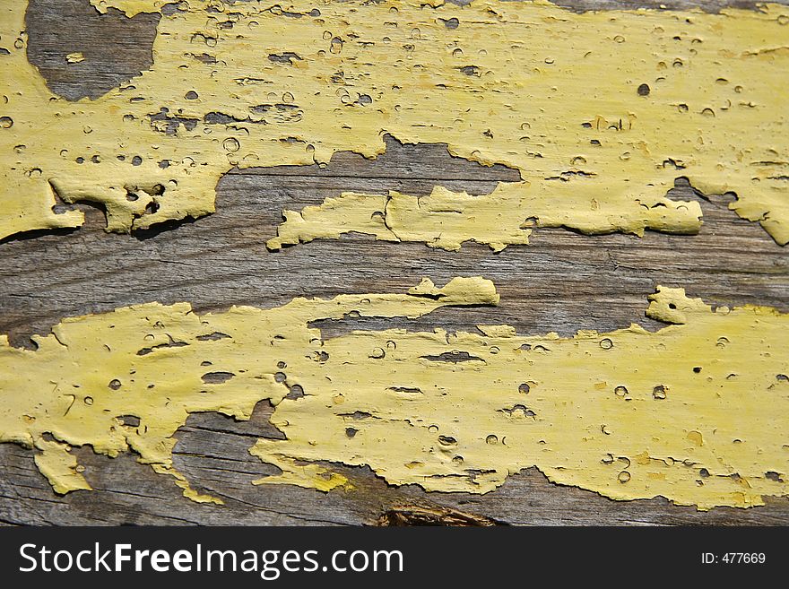 Yellow Peeling Warped Wood for Texture