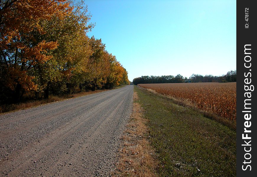 A lonely section of the Scenic Byway along the Sheyenne River in North Dakota. A lonely section of the Scenic Byway along the Sheyenne River in North Dakota