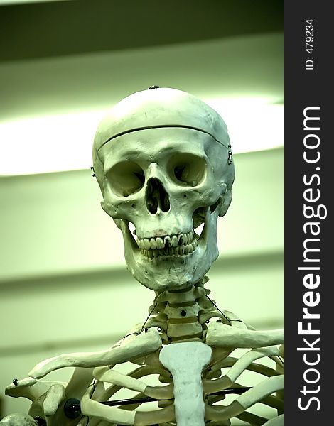 Another skeleton's portrait. Another skeleton's portrait