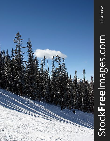 Ski slope and forest in the winter. Ski slope and forest in the winter