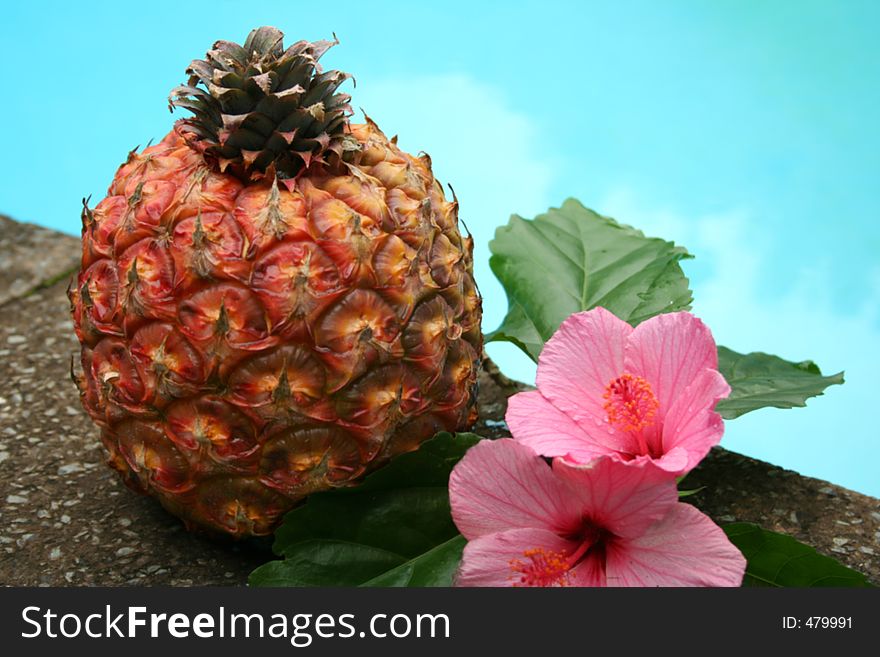 Pineapple by the pool