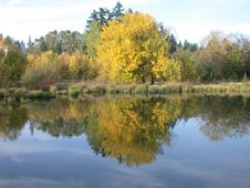 Fall Reflections Royalty Free Stock Photos Fall Reflections Royalty Free Stock Photos