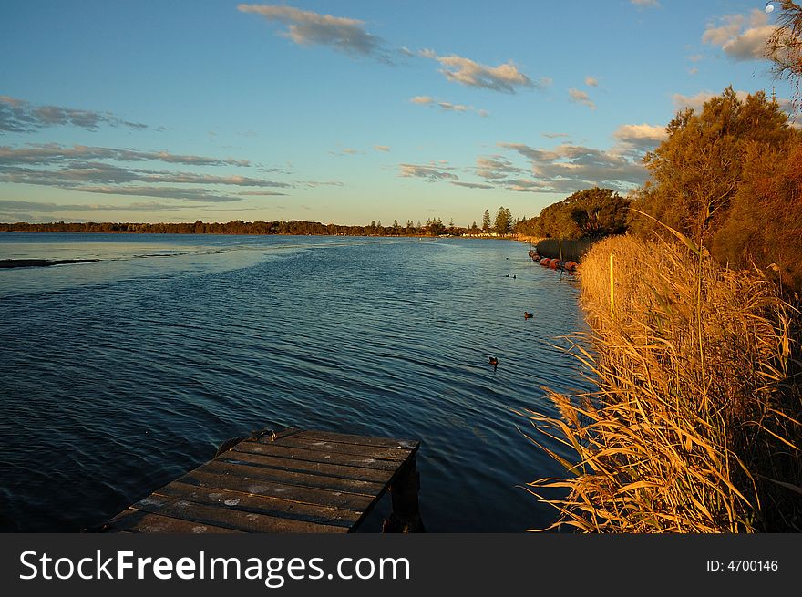 The lake and golden reed is photoed while sunset in central coast, Sydney. The lake and golden reed is photoed while sunset in central coast, Sydney