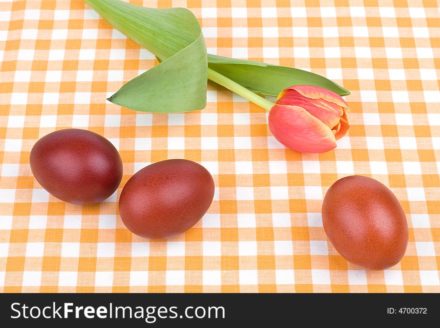 Easter eggs and red tulip. Easter eggs and red tulip