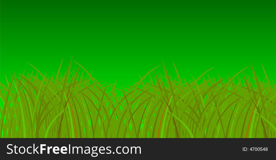 Green grass on green background