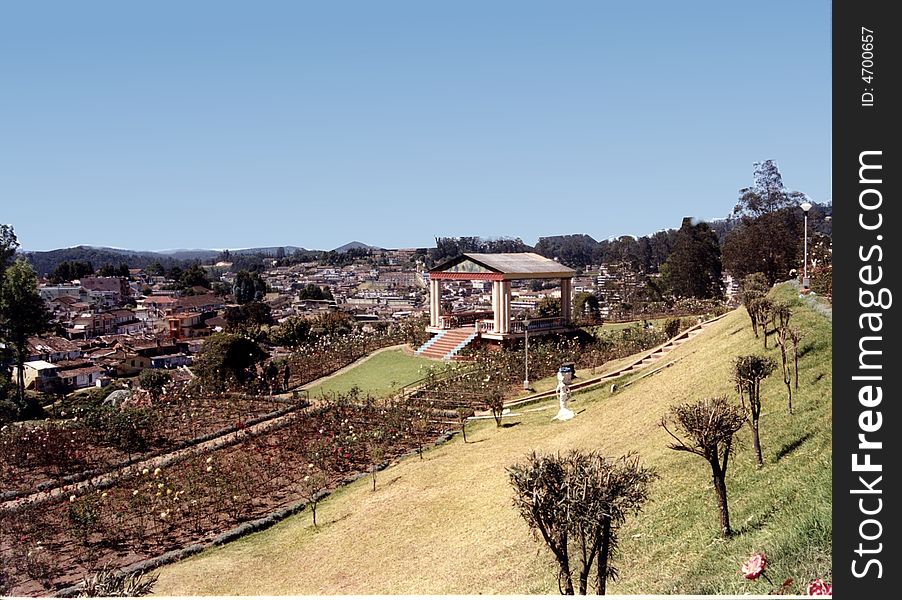 View of rose garden, crowded city as back ground