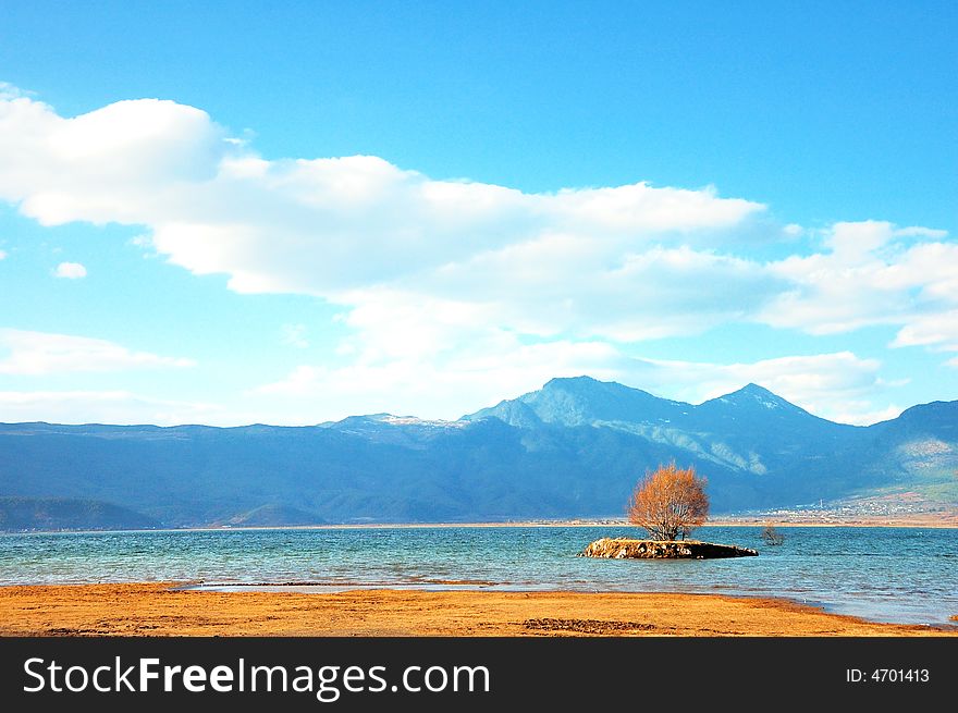 The highland lake- being located in Chinese Yunnan Li Jiang Lasi lake , a lonely tree. The highland lake- being located in Chinese Yunnan Li Jiang Lasi lake , a lonely tree
