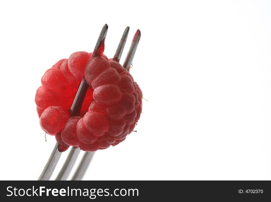 Raspberry on a fork.Raspberry close-up.