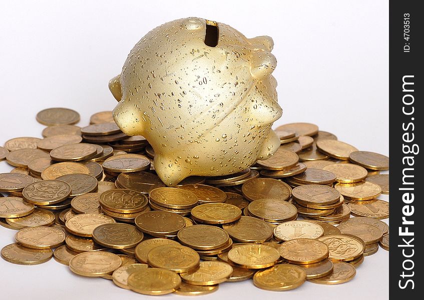 Empty piggy bank and metallic coins
