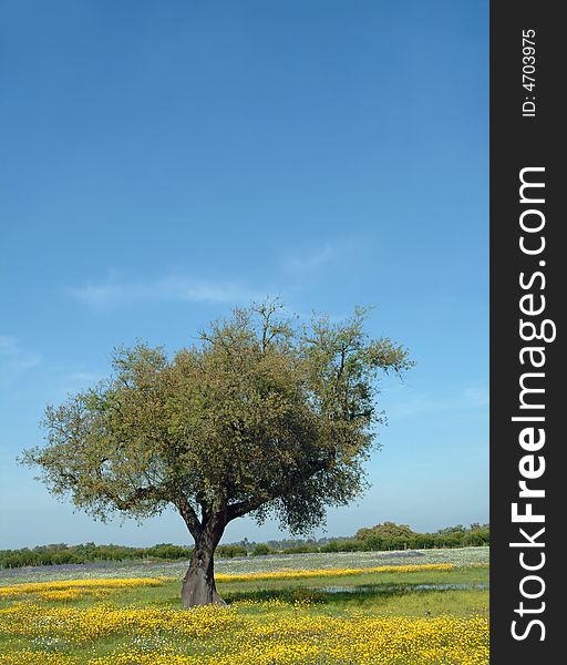 Tree in flowery field