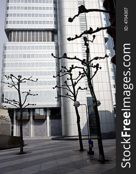 Trees in front of a building in Frankfurt, Germany. Trees in front of a building in Frankfurt, Germany