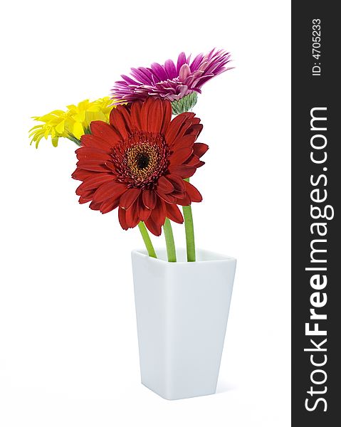 Colored gerbers in vase isolated over white