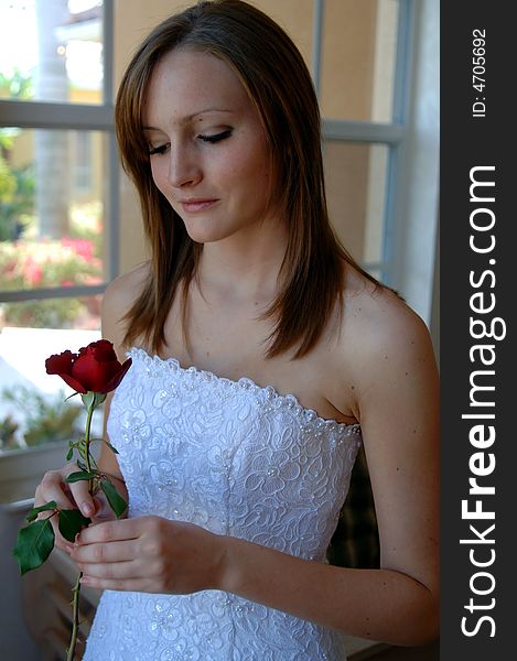 A beautiful bride standing by a window holding a red rose. A beautiful bride standing by a window holding a red rose