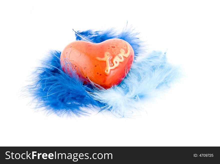 Red heart on plumage background