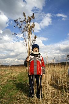 Boy On Meadow Royalty Free Stock Photo Boy On Meadow Royalty Free Stock Photo