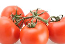 Tomatoes UpClose Stock Photography Tomatoes UpClose Stock Photography