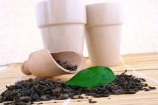 Green Tea Leaves Royalty Free Stock Photography Green Tea Leaves Royalty Free Stock Photography