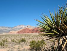 Red Rock Canyon, Nevada Stock Photo Red Rock Canyon, Nevada Stock Photo