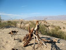 Sand Dunes, Death Valley, California Stock Photo Sand Dunes, Death Valley, California Stock Photo