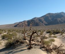 Sand Dunes, Death Valley, California Royalty Free Stock Photography Sand Dunes, Death Valley, California Royalty Free Stock Photography