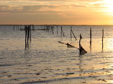 Seagulls On Fishing Nets Poles Stock Photo Seagulls On Fishing Nets Poles Stock Photo