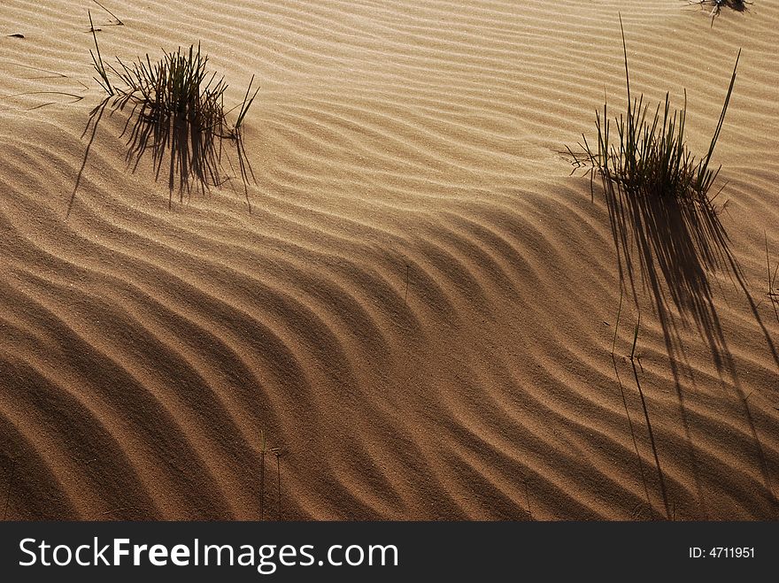 Desert in Dubai, waste land and grass