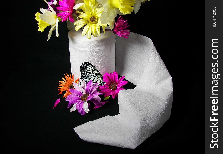 Spring flowers and a butterfly in a toilet paper roll. Spring flowers and a butterfly in a toilet paper roll.