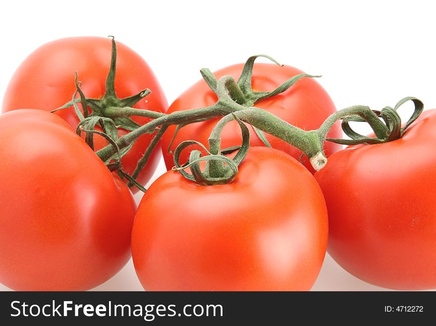 Fresh picked red vine tomatoes white background. Fresh picked red vine tomatoes white background