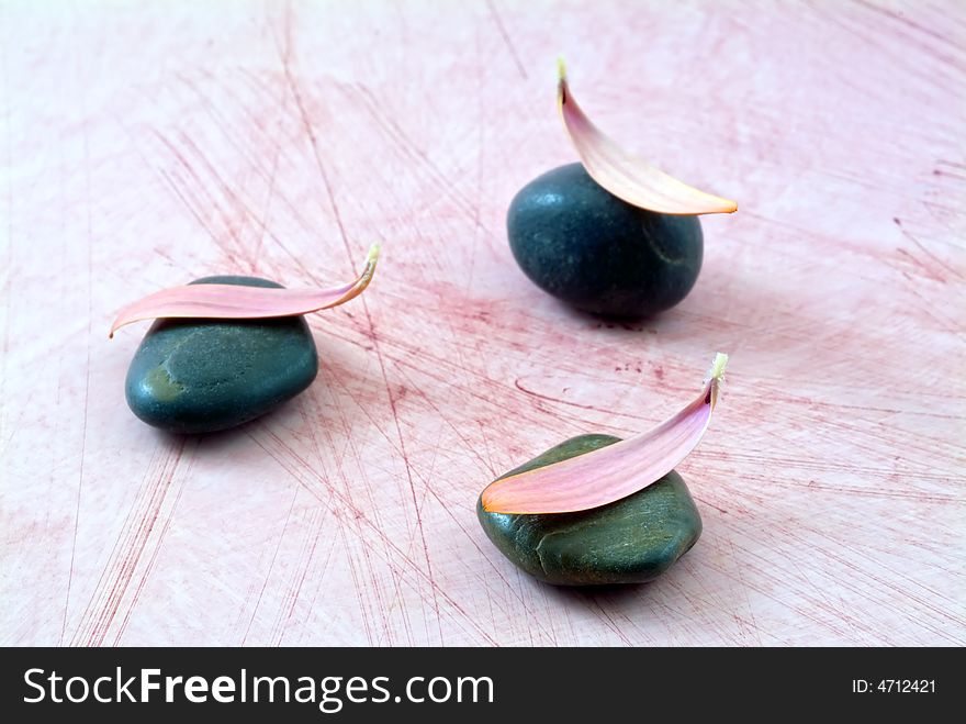 3 stones and pink flower petals on pink grungy background. 3 stones and pink flower petals on pink grungy background