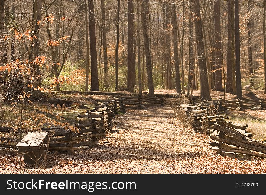 A trail through a winter forest with a split rail fence and wood bench. A trail through a winter forest with a split rail fence and wood bench